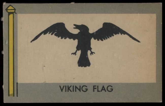 22 Viking Flag